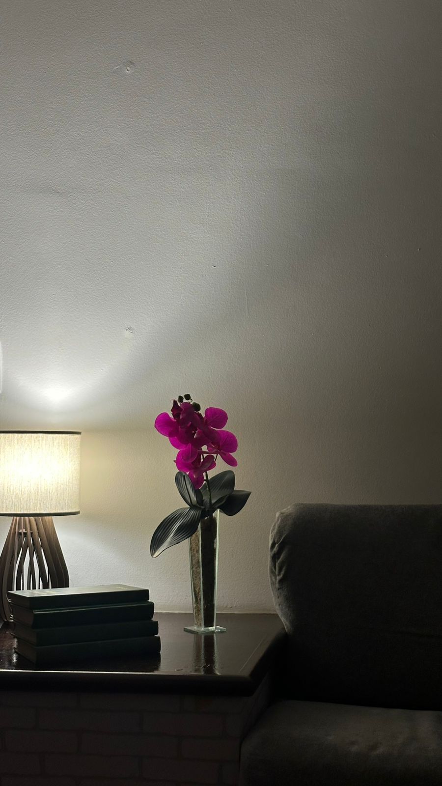 Detalhe do consultório — luminária, livros e orquídea