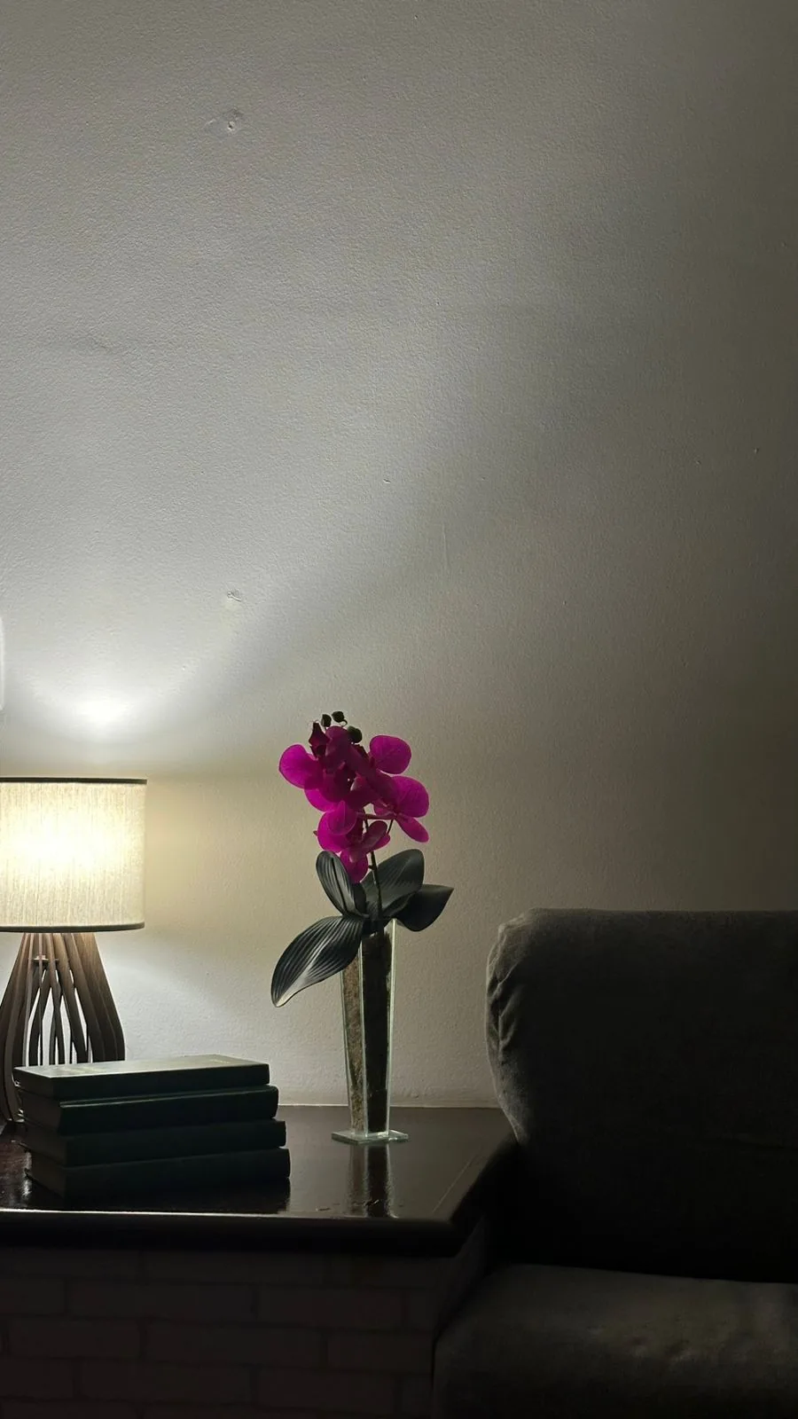 Detalhe do consultório — luminária, livros e orquídea